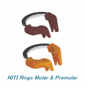 NITI Ring for Molar & Premolar