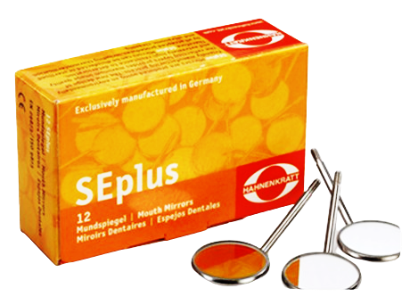 SEplus_WBG